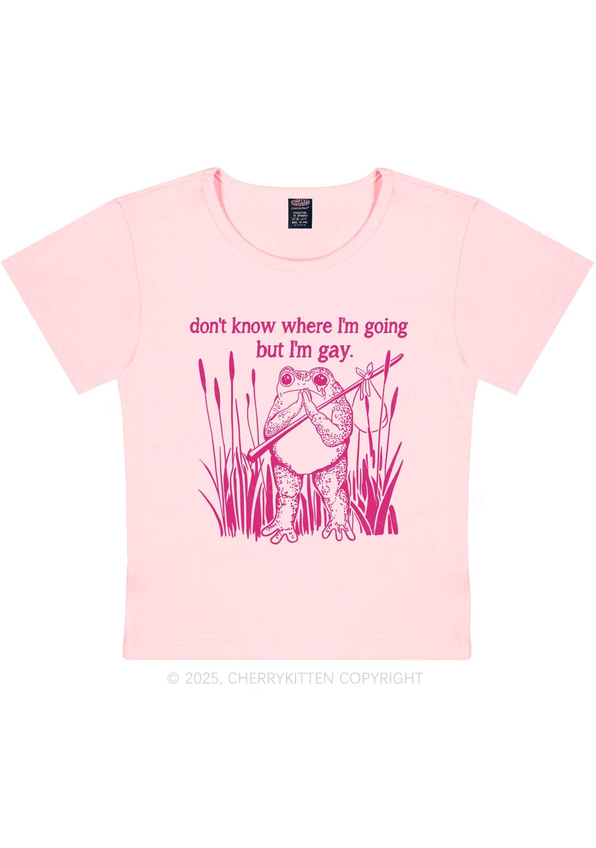 But I Am Gay Frog Pride Y2K Baby Tee Cherrykitten