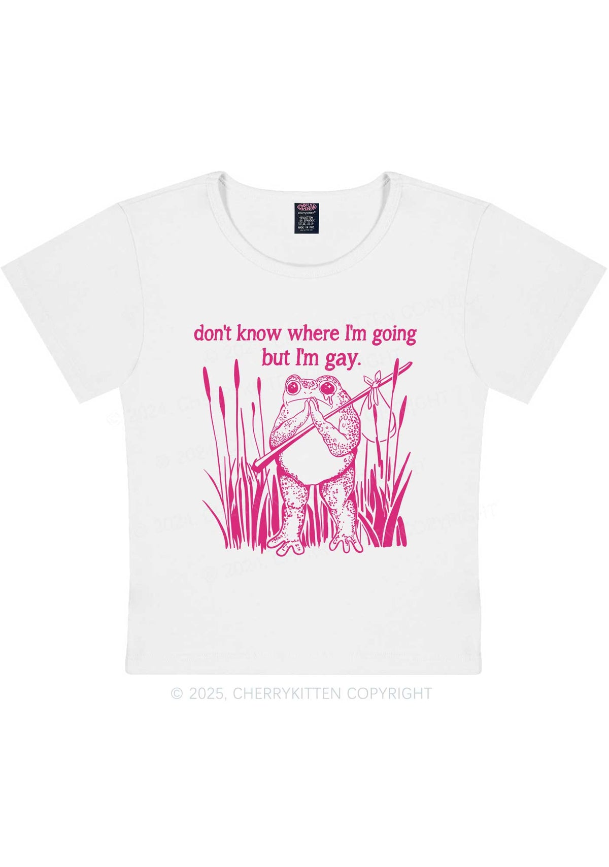 But I Am Gay Frog Pride Y2K Baby Tee Cherrykitten