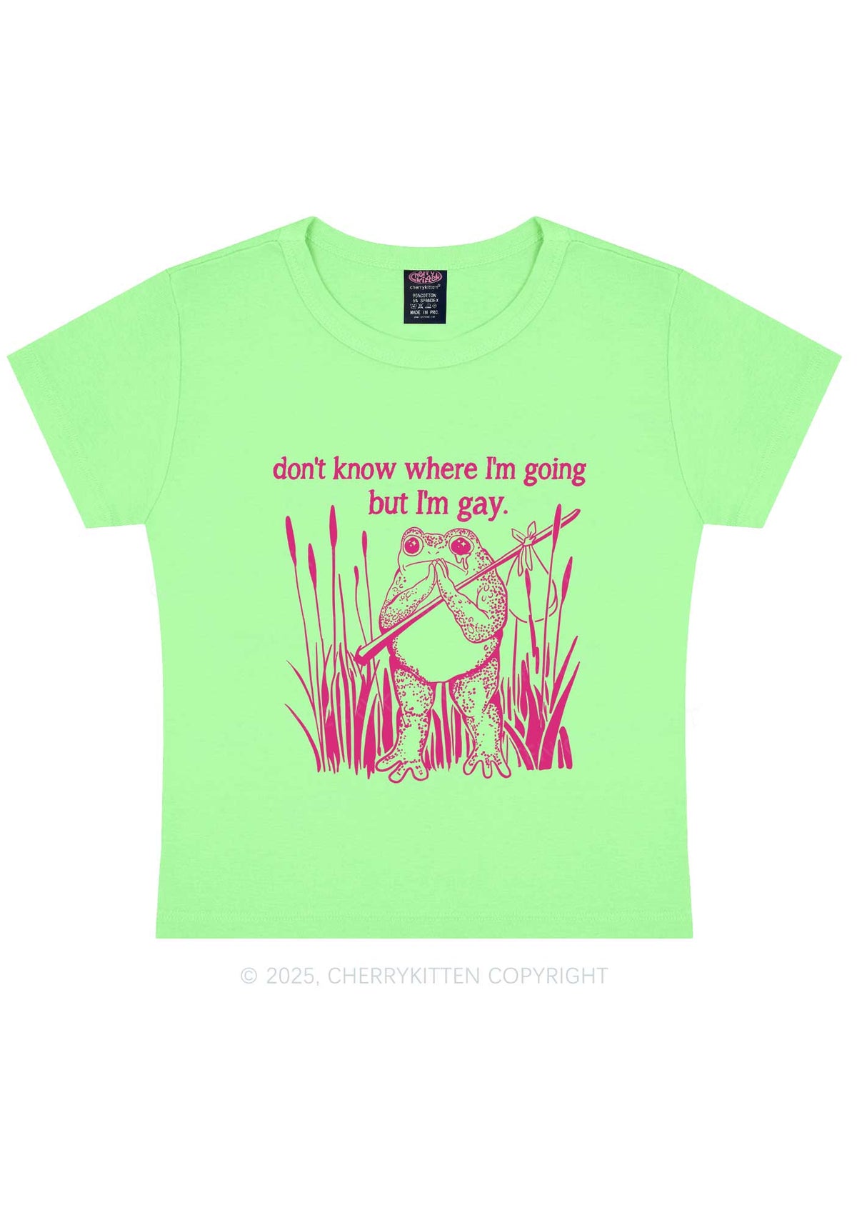 But I Am Gay Frog Pride Y2K Baby Tee Cherrykitten