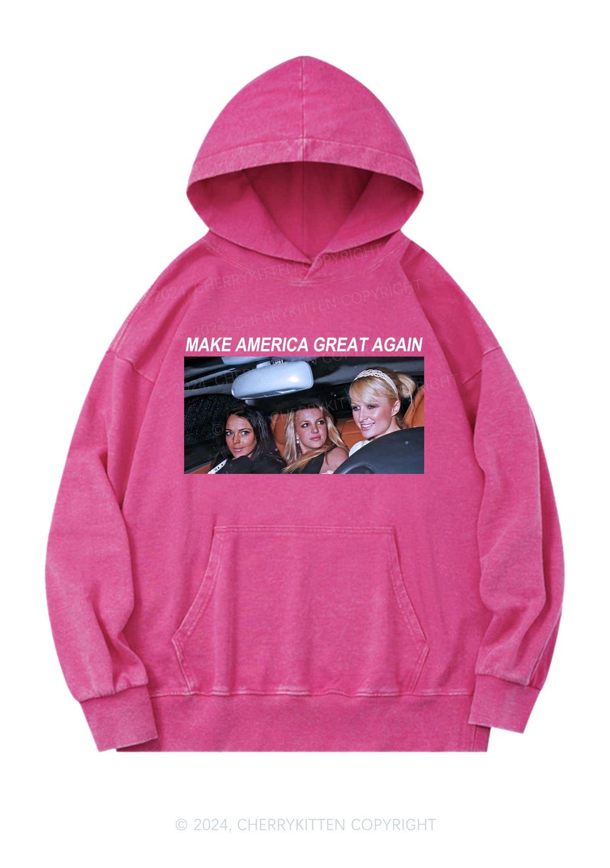 Make America Great Y2K Washed Hoodie Cherrykitten