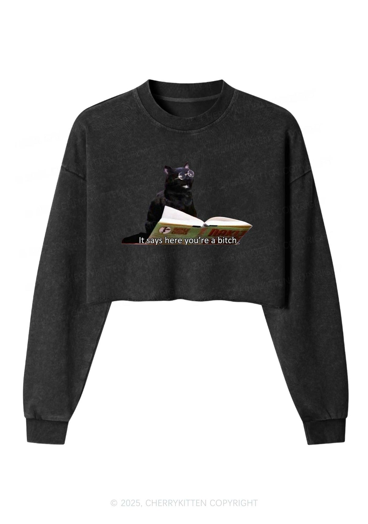 It Says Here Youre A Bixxh Y2K Crop Washed Sweatshirts Cherrykitten