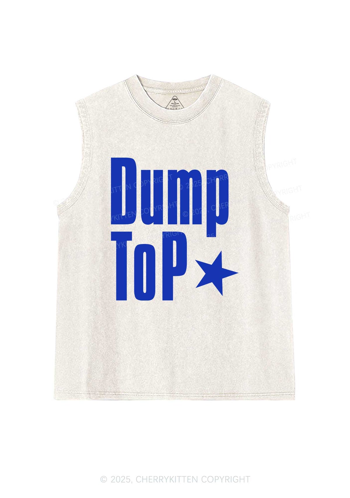 Dump Top Pride Y2K Washed Muscle Tank Cherrykitten