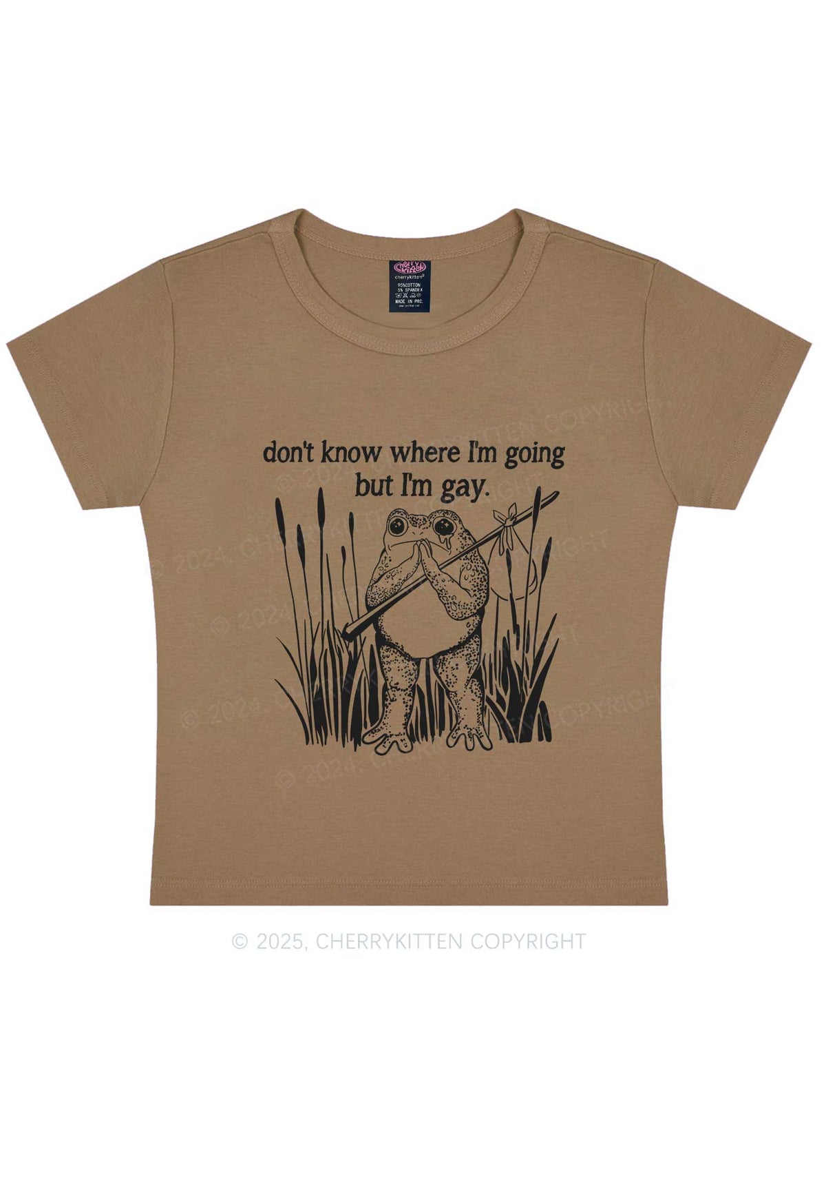 But I Am Gay Frog Pride Y2K Baby Tee Cherrykitten