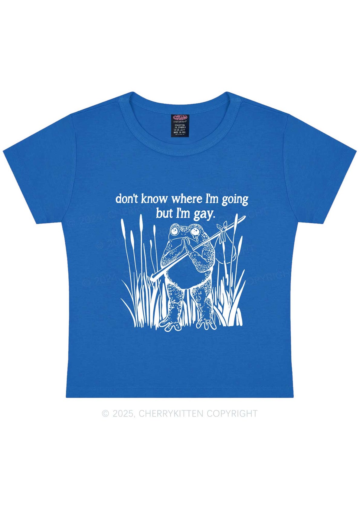 But I Am Gay Frog Pride Y2K Baby Tee Cherrykitten