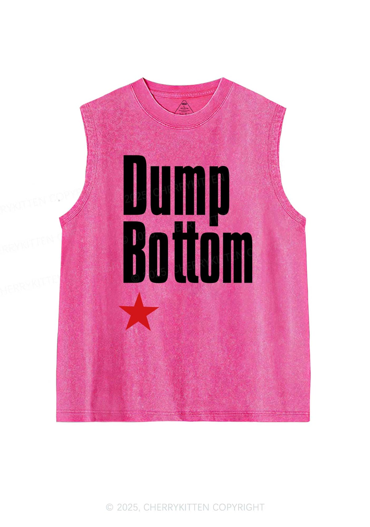 Dump Bottom Pride Y2K Washed Muscle Tank Cherrykitten