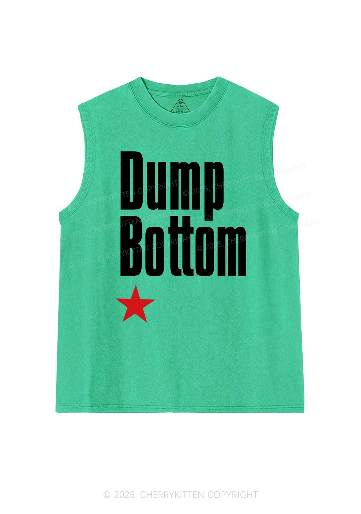 Dump Bottom Pride Y2K Washed Muscle Tank Cherrykitten