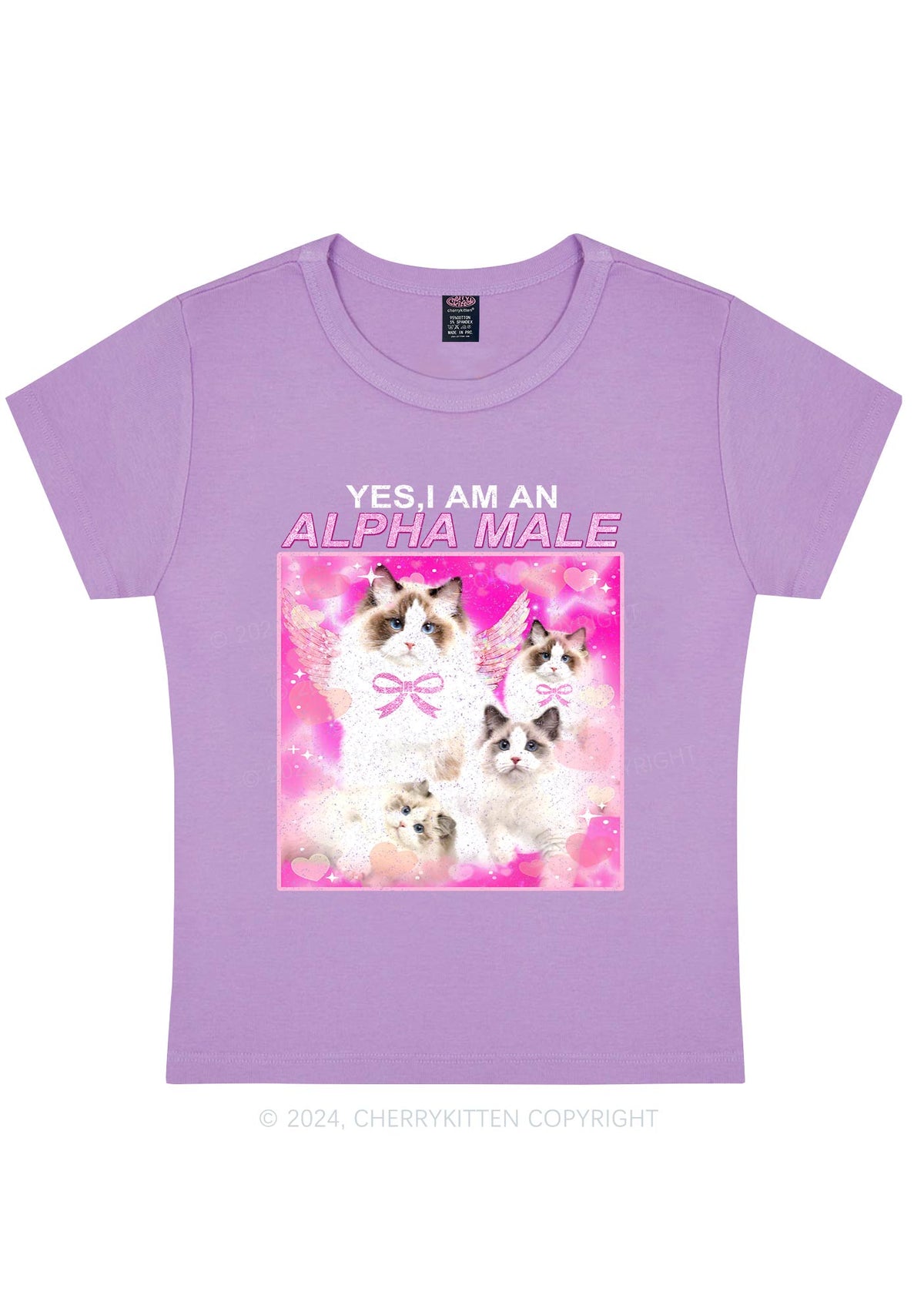 Alpha Male Y2K Baby Tee Cherrykitten