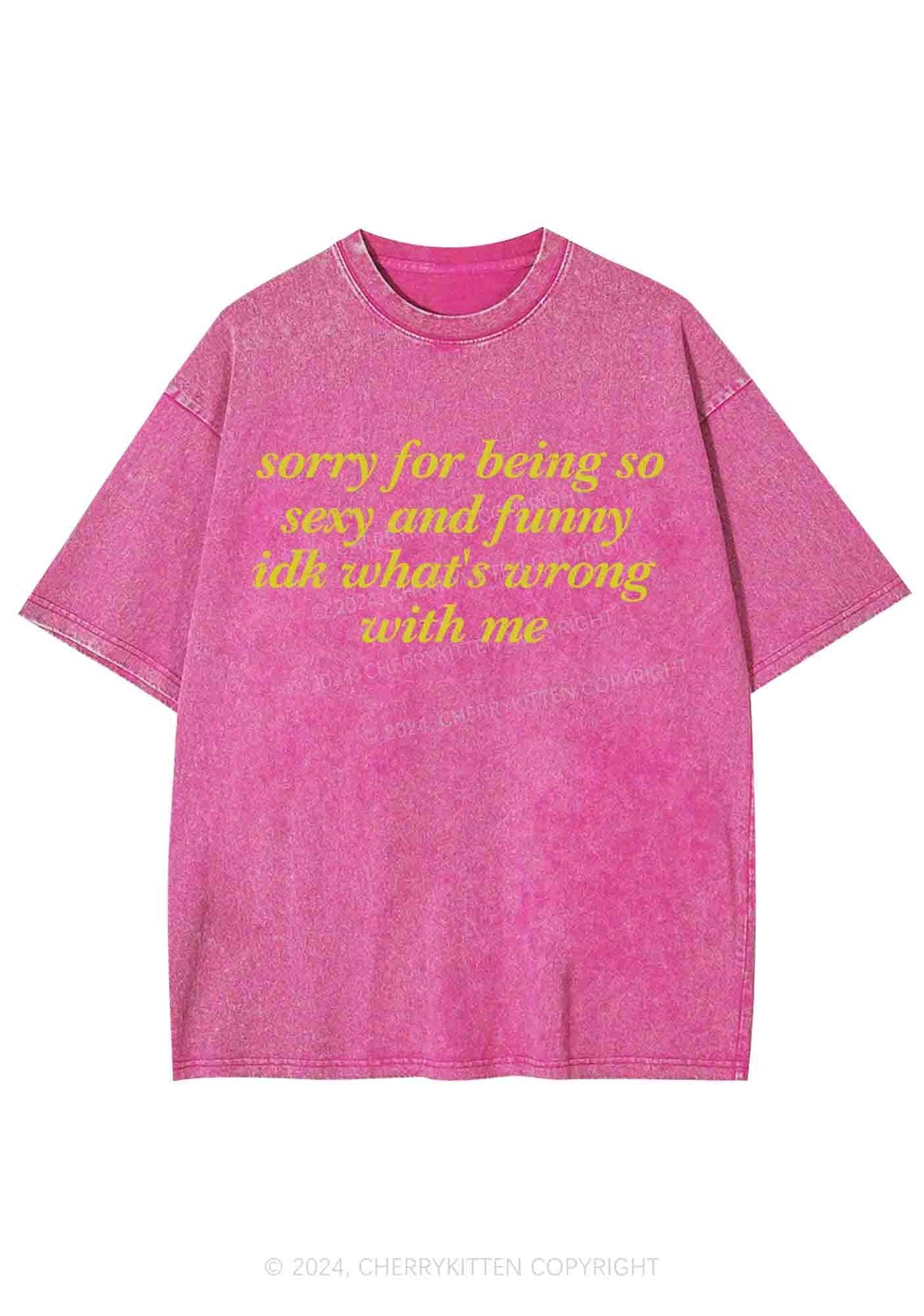 Sorry For Being So Funny Y2K Washed Tee Cherrykitten