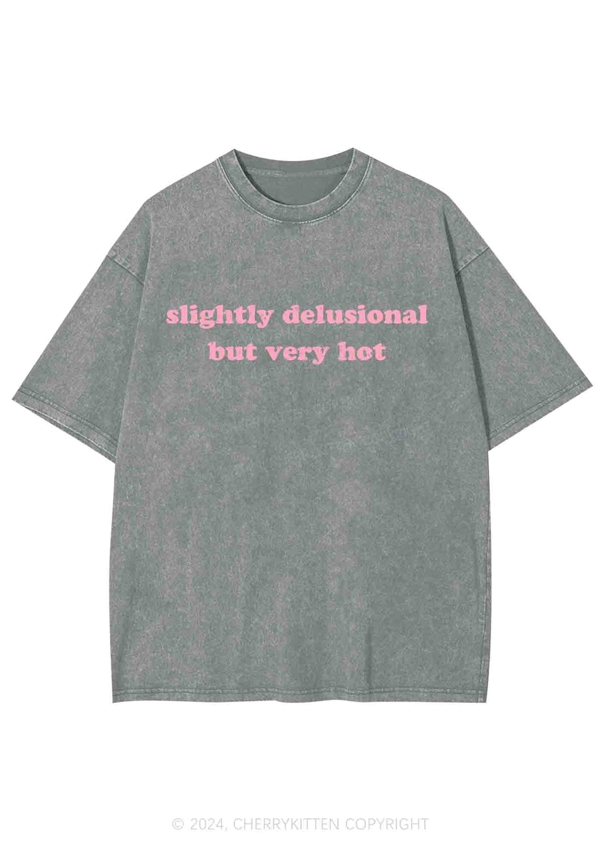 Slightly Delusional But Very Hot Y2K Washed Tee Cherrykitten