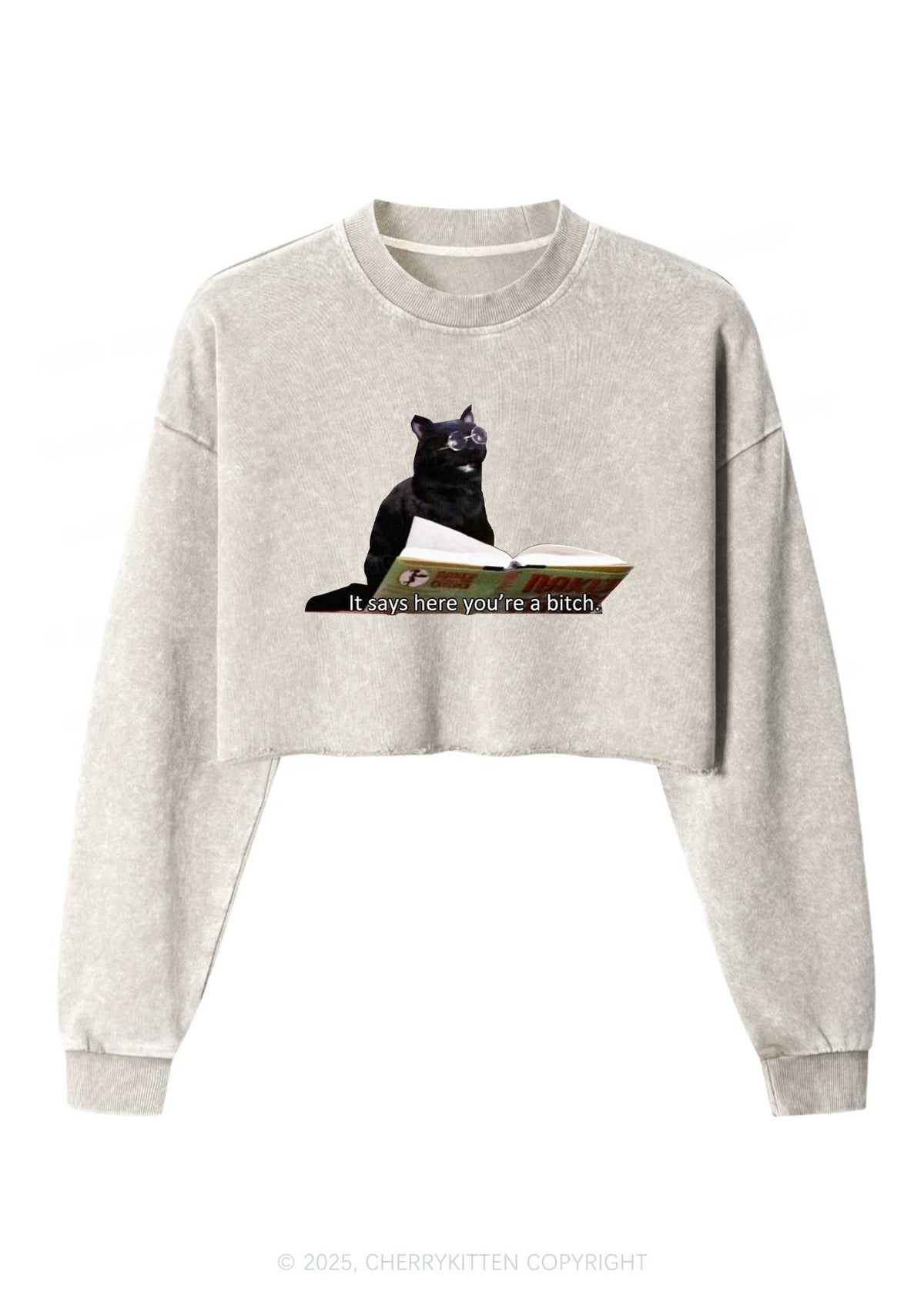 It Says Here Youre A Bixxh Y2K Crop Washed Sweatshirts Cherrykitten