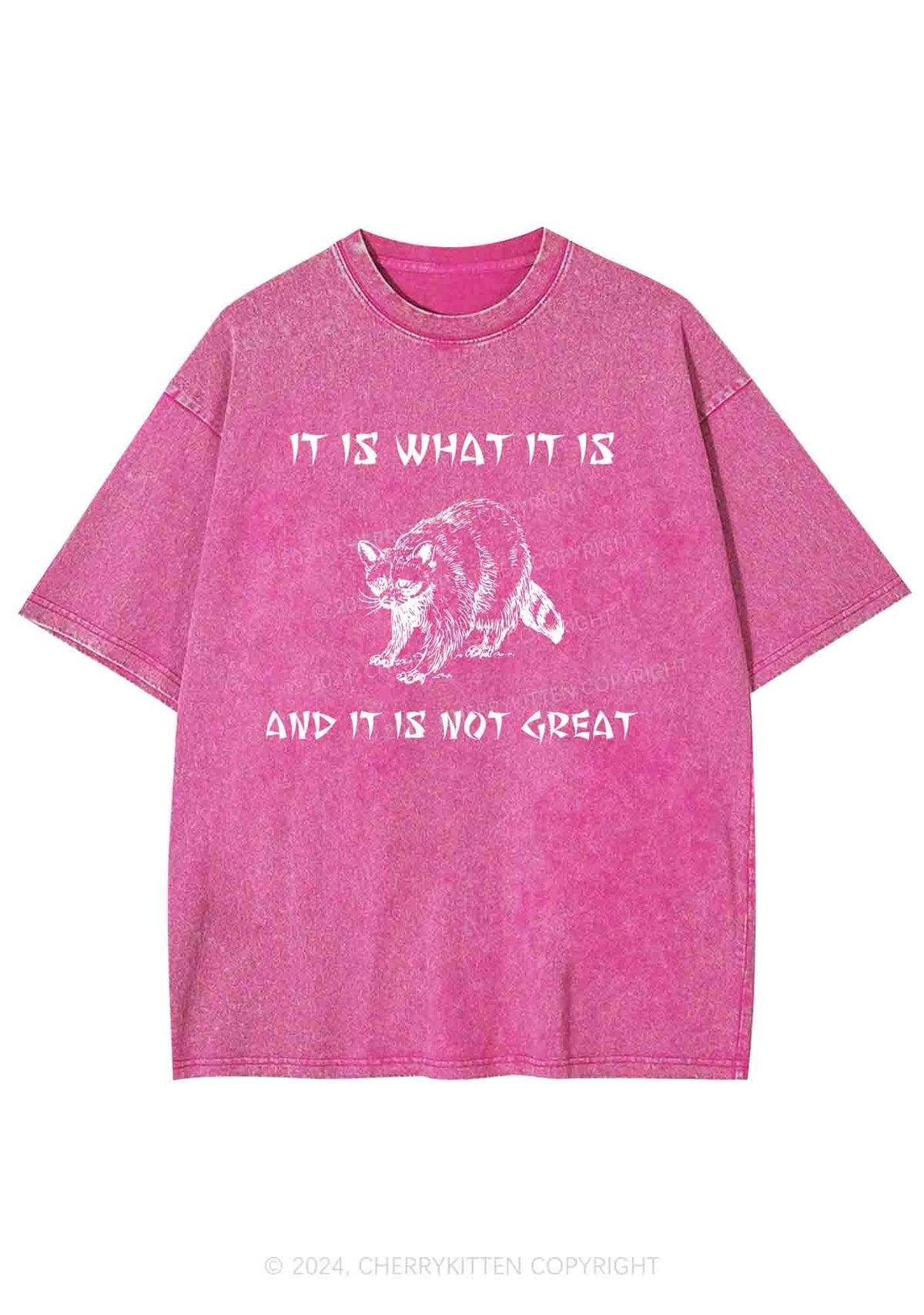 It Is What It Is And It Is Not Great Y2K Washed Tee Cherrykitten