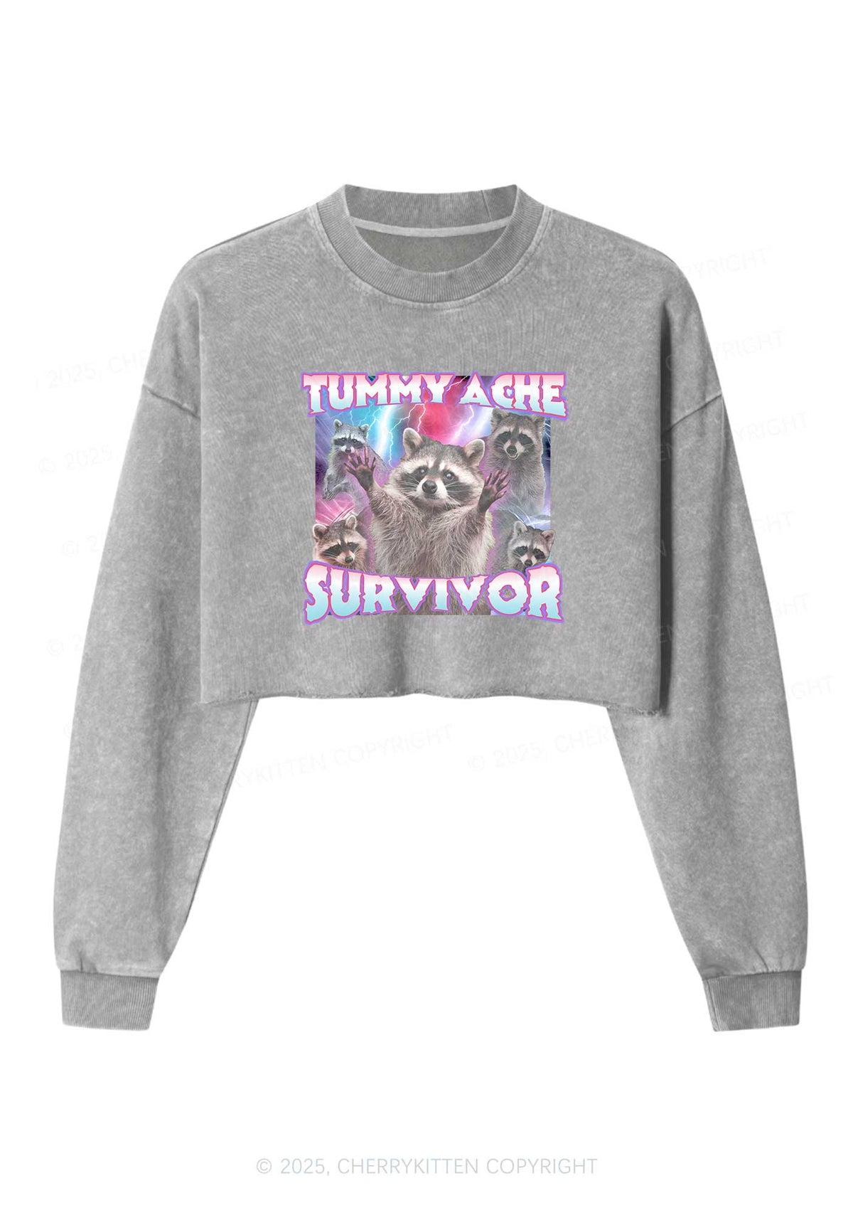 Tummy Ache Survivor Raccoon Y2K Crop Washed Sweatshirts Cherrykitten