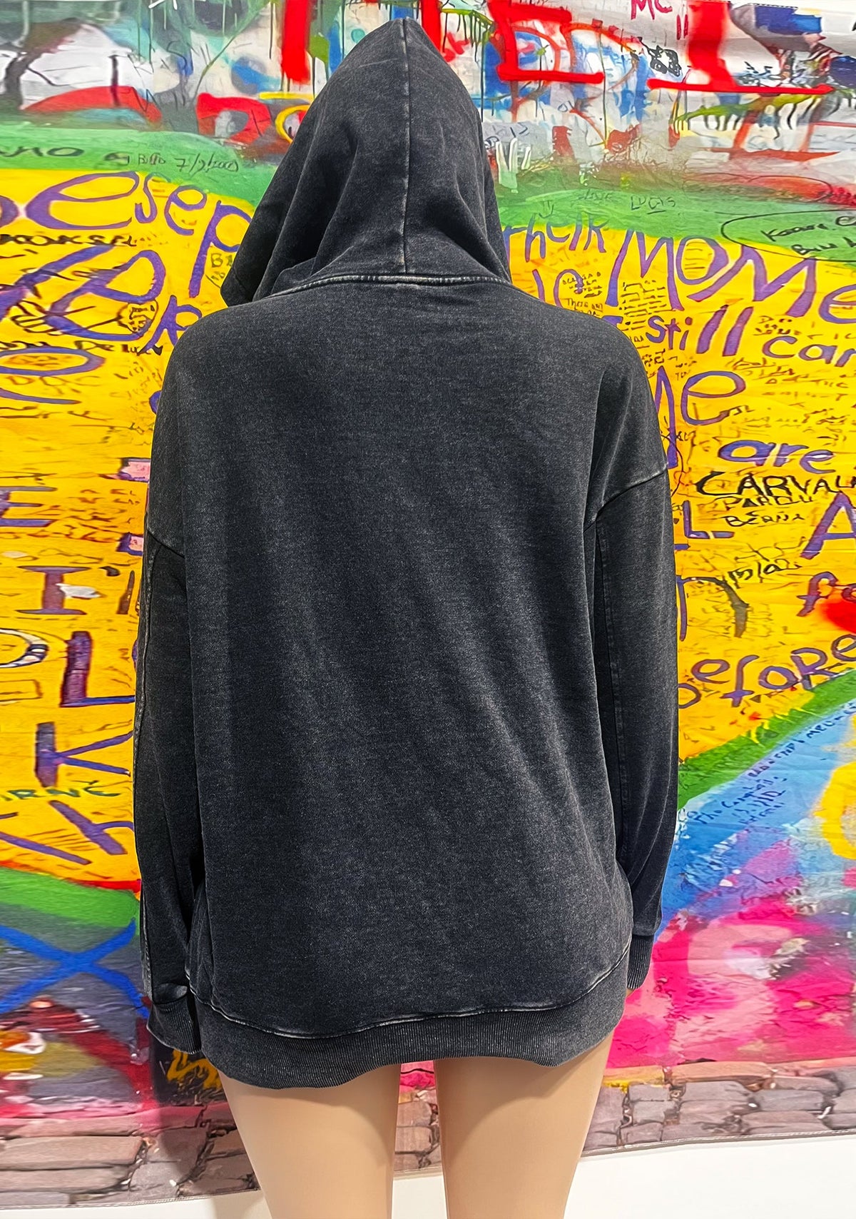 I Got That Hot Dog In Me Y2K Washed Hoodie Cherrykitten