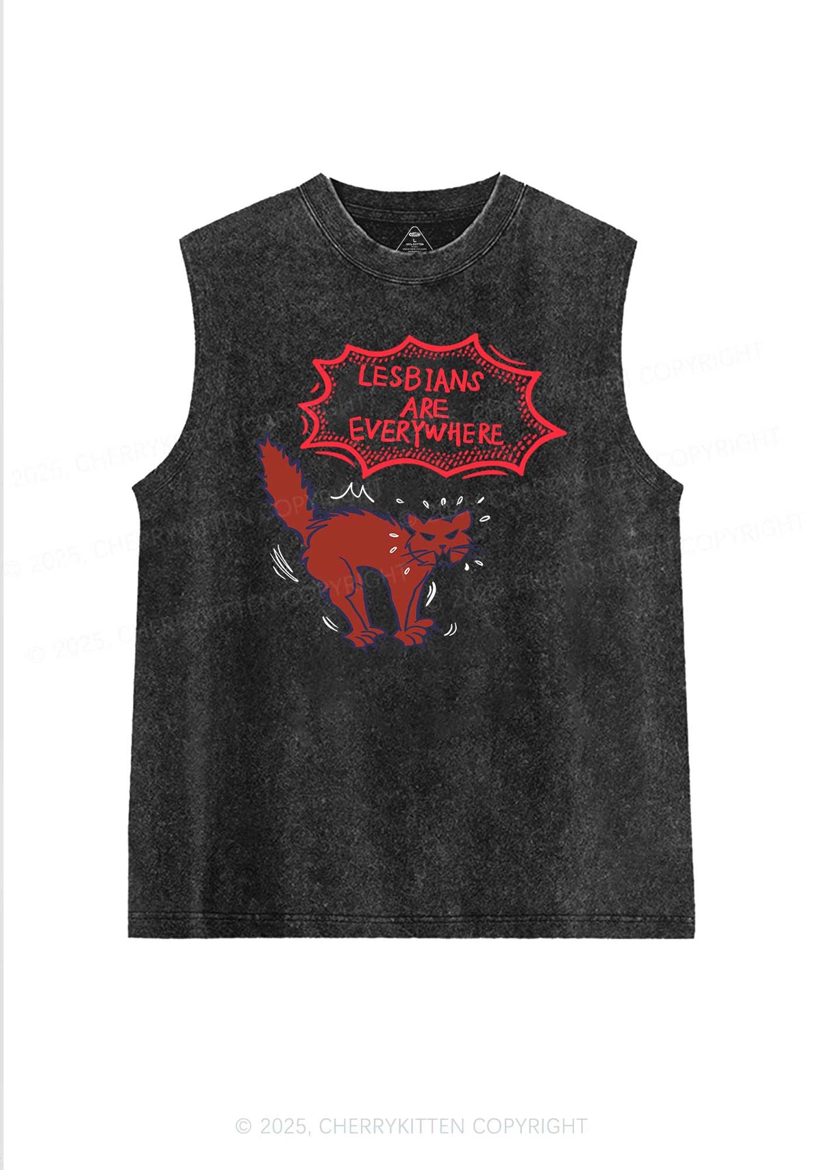 Lesbians Are Everywhere Pride Y2K Washed Muscle Tank Cherrykitten