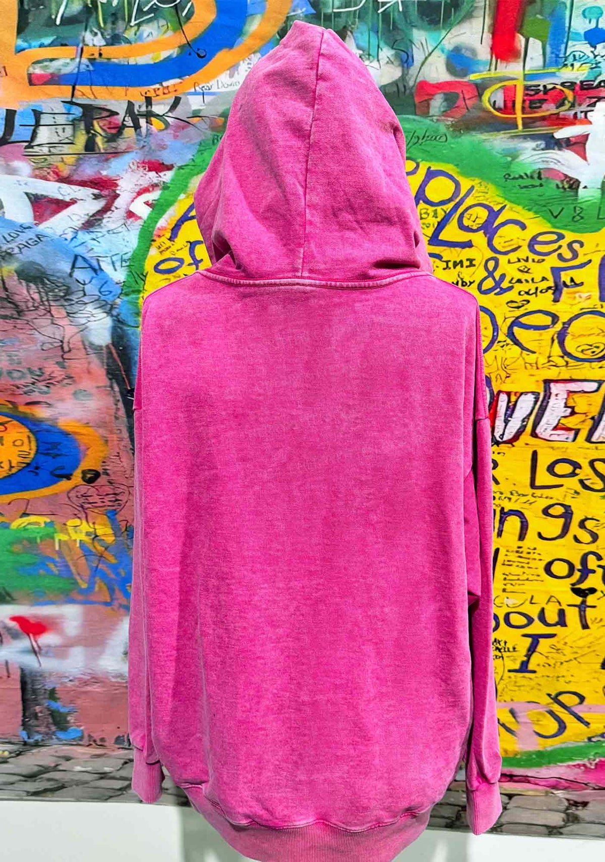 Commit Tax Fraud Y2K Washed Hoodie Cherrykitten
