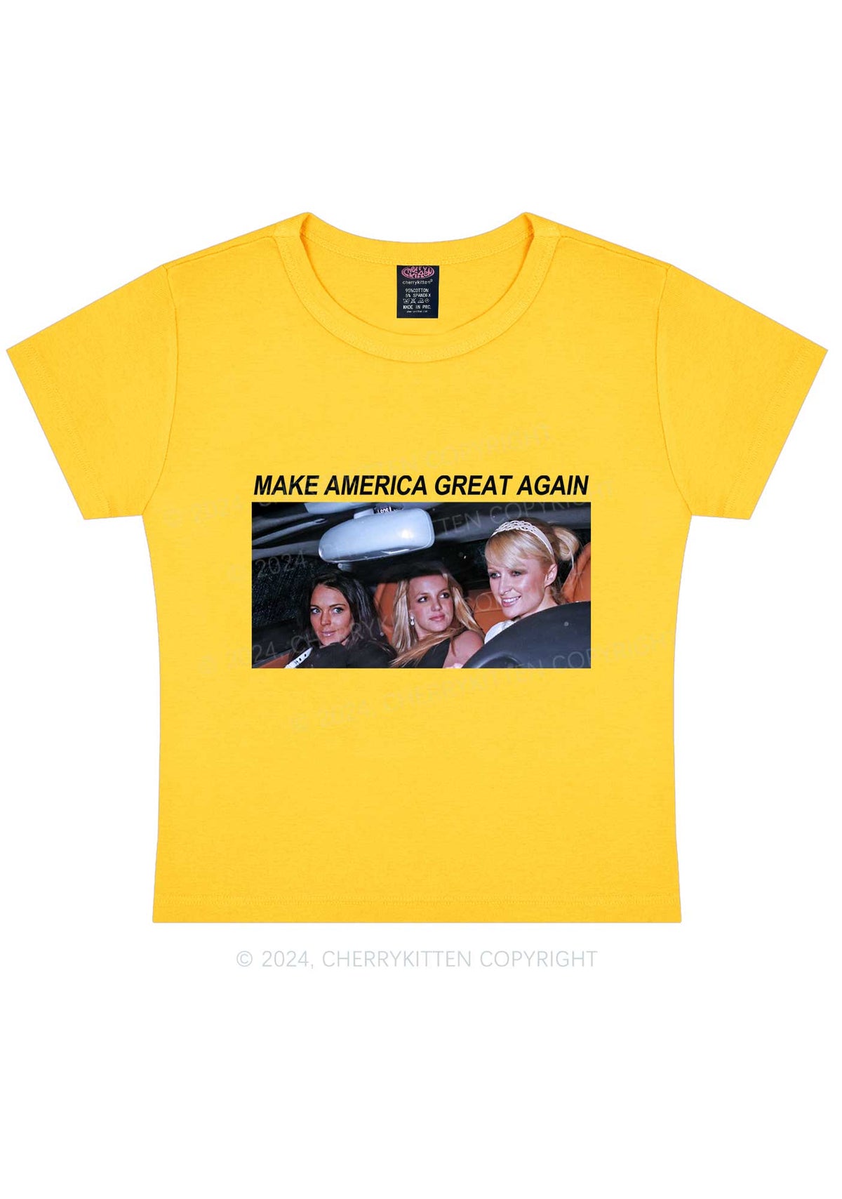Make America Great Y2K Baby Tee Cherrykitten