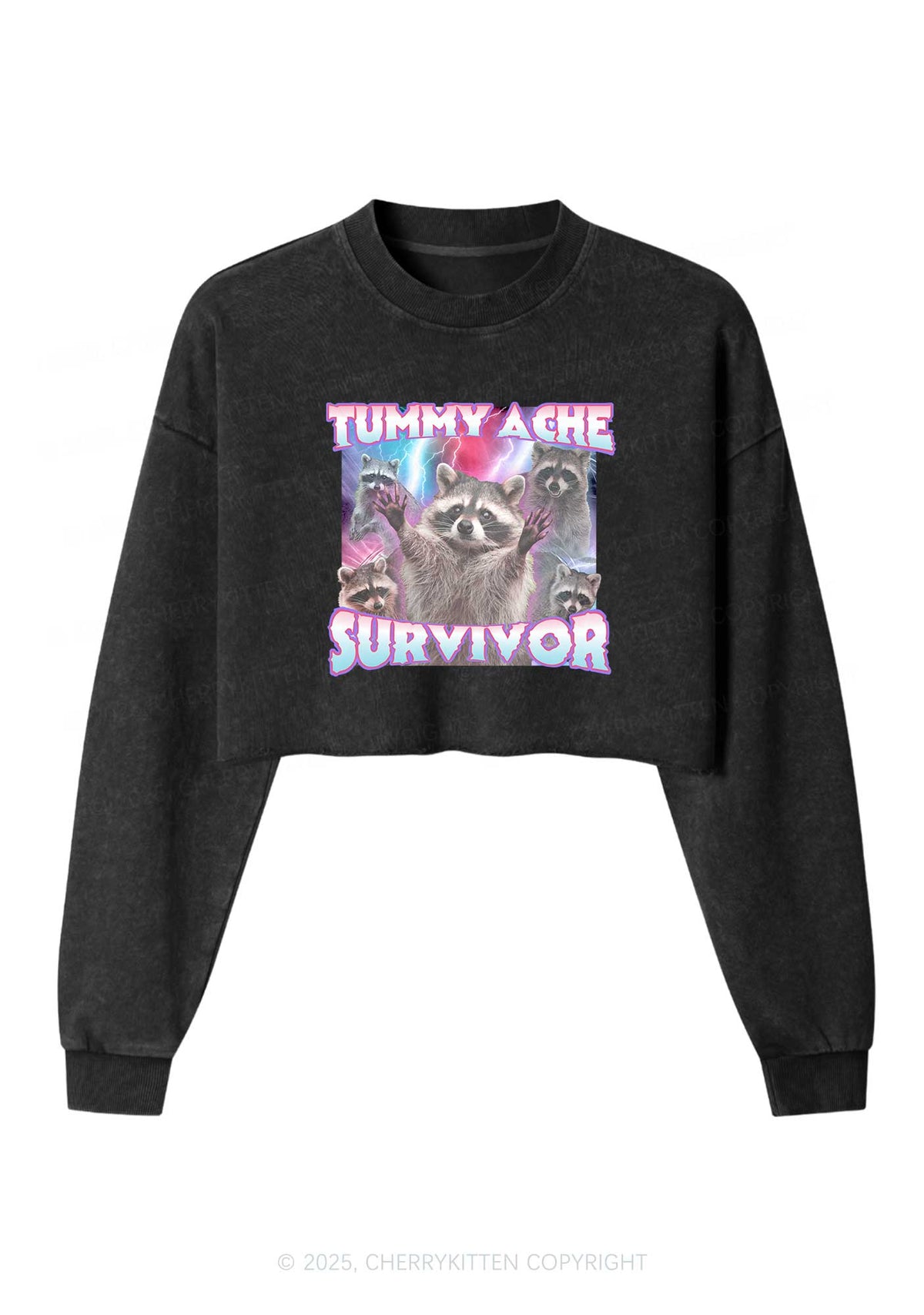 Tummy Ache Survivor Raccoon Y2K Crop Washed Sweatshirts Cherrykitten