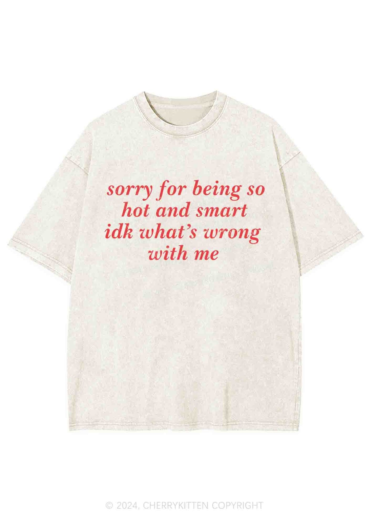 Sorry For Being So Smart Y2K Washed Tee Cherrykitten
