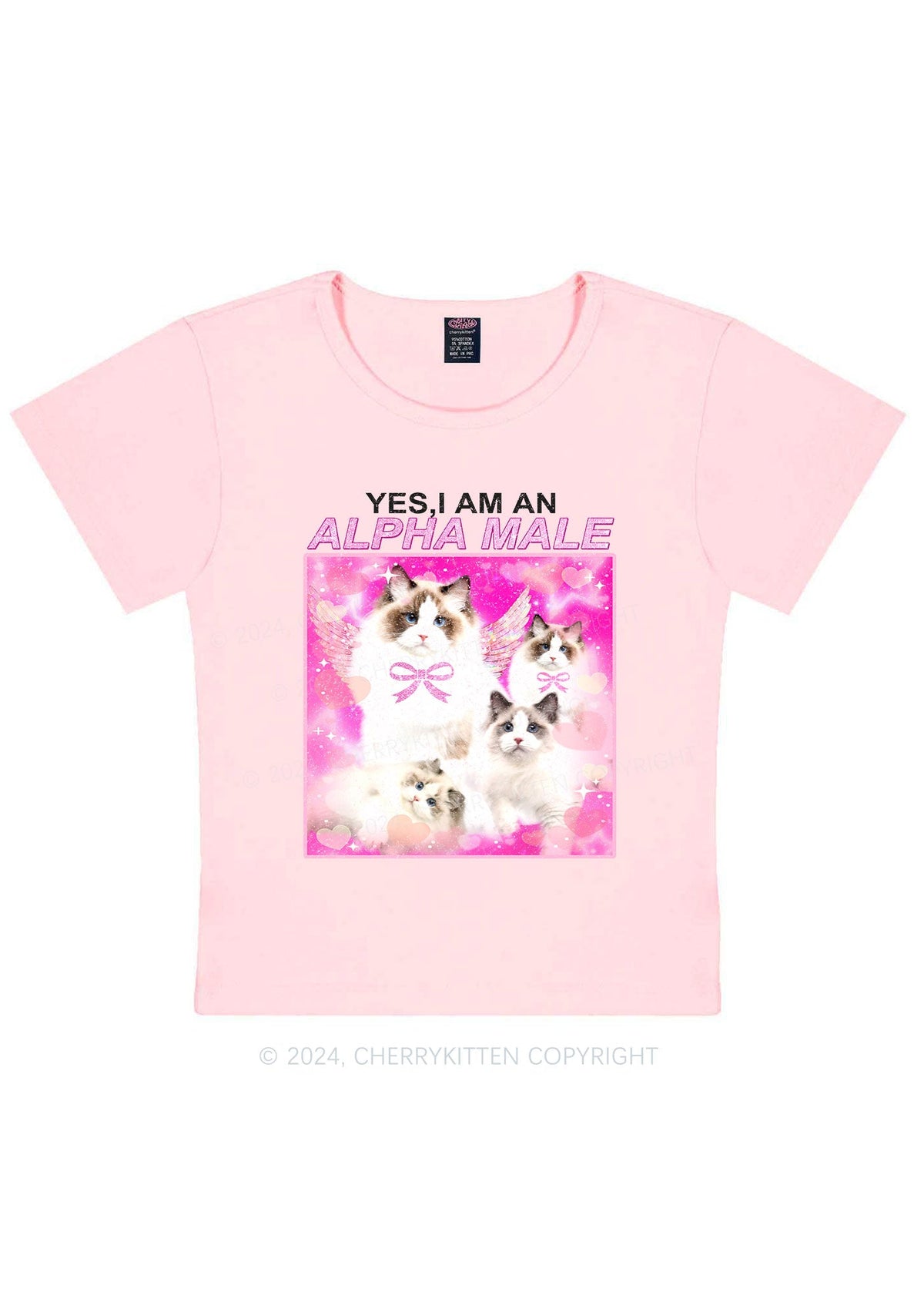 Alpha Male Y2K Baby Tee Cherrykitten