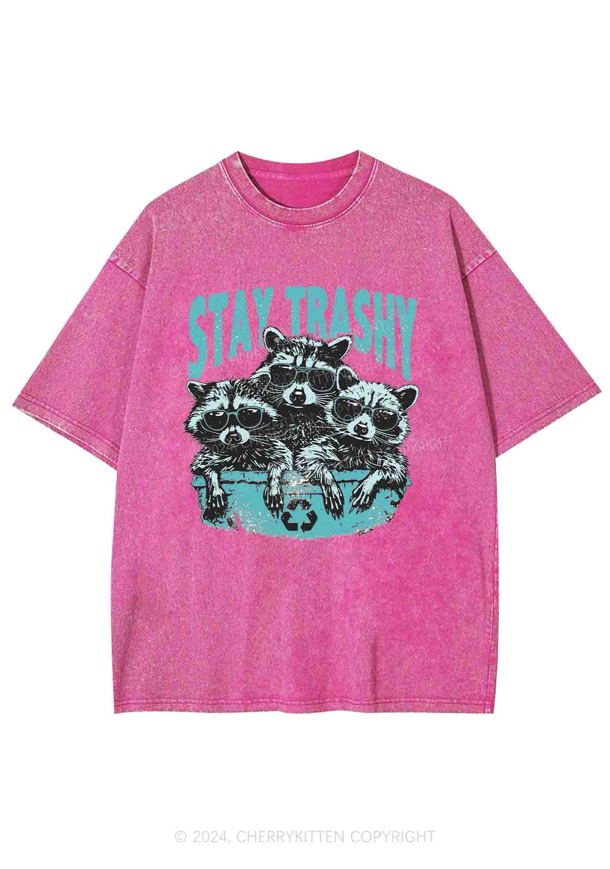 Stay Trashy Raccoons Y2K Washed Tee Cherrykitten
