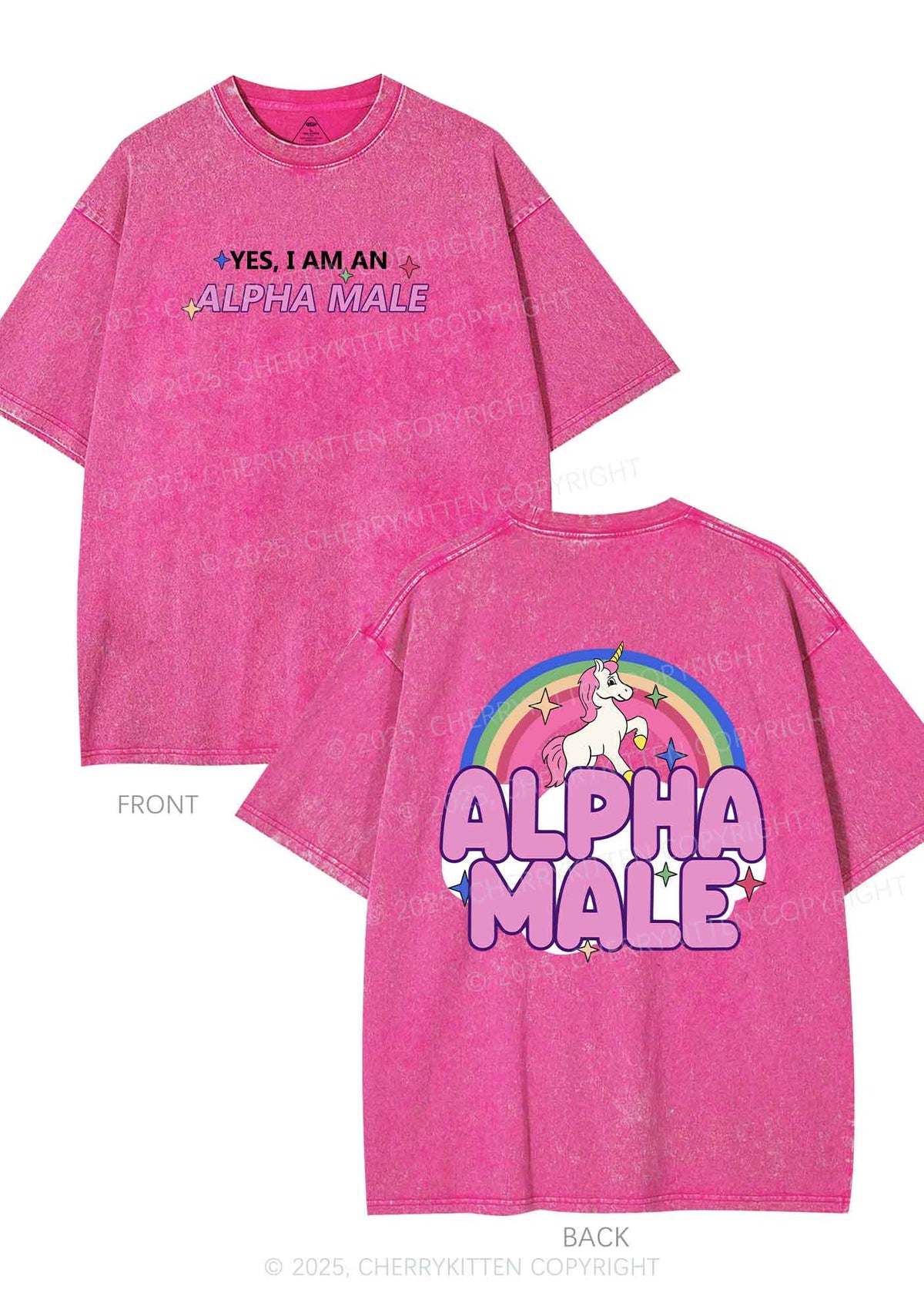 Alpha Male Two Sides Pride Y2K Shirts Washed Tee Cherrykitten