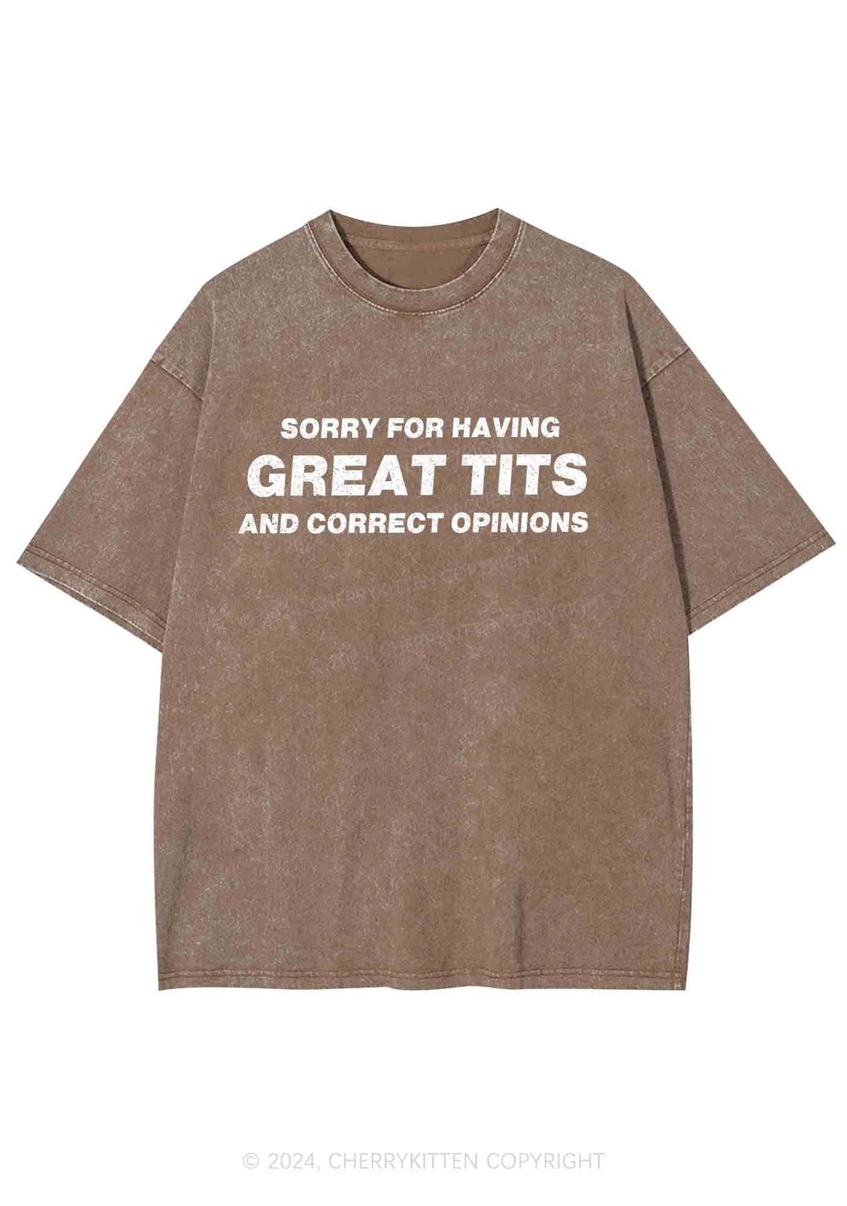 Sorry For Having Correct Opinions Y2K Washed Tee Cherrykitten