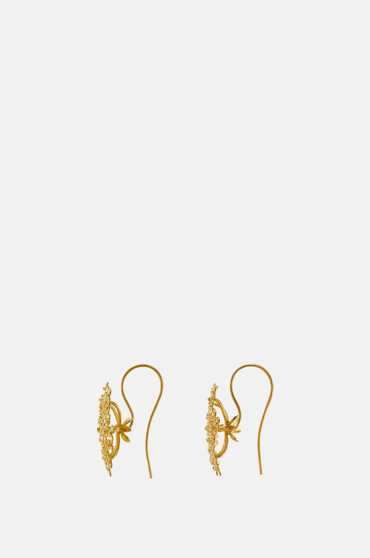 Cow Parsley Bloom Hook Earring Gold