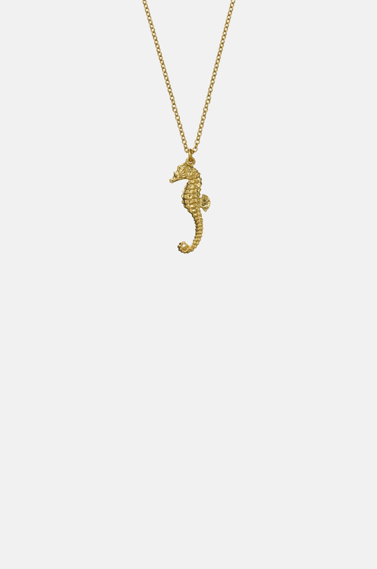 Seahorse Necklace Gold