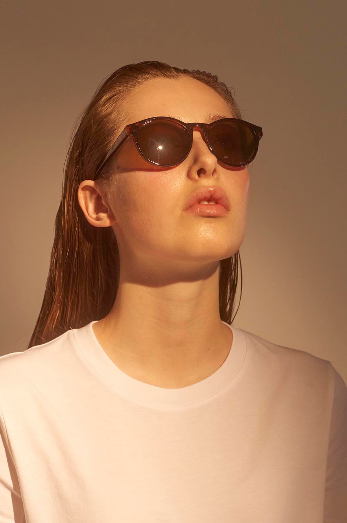 Marvin Sunglasses Demi Tortoise