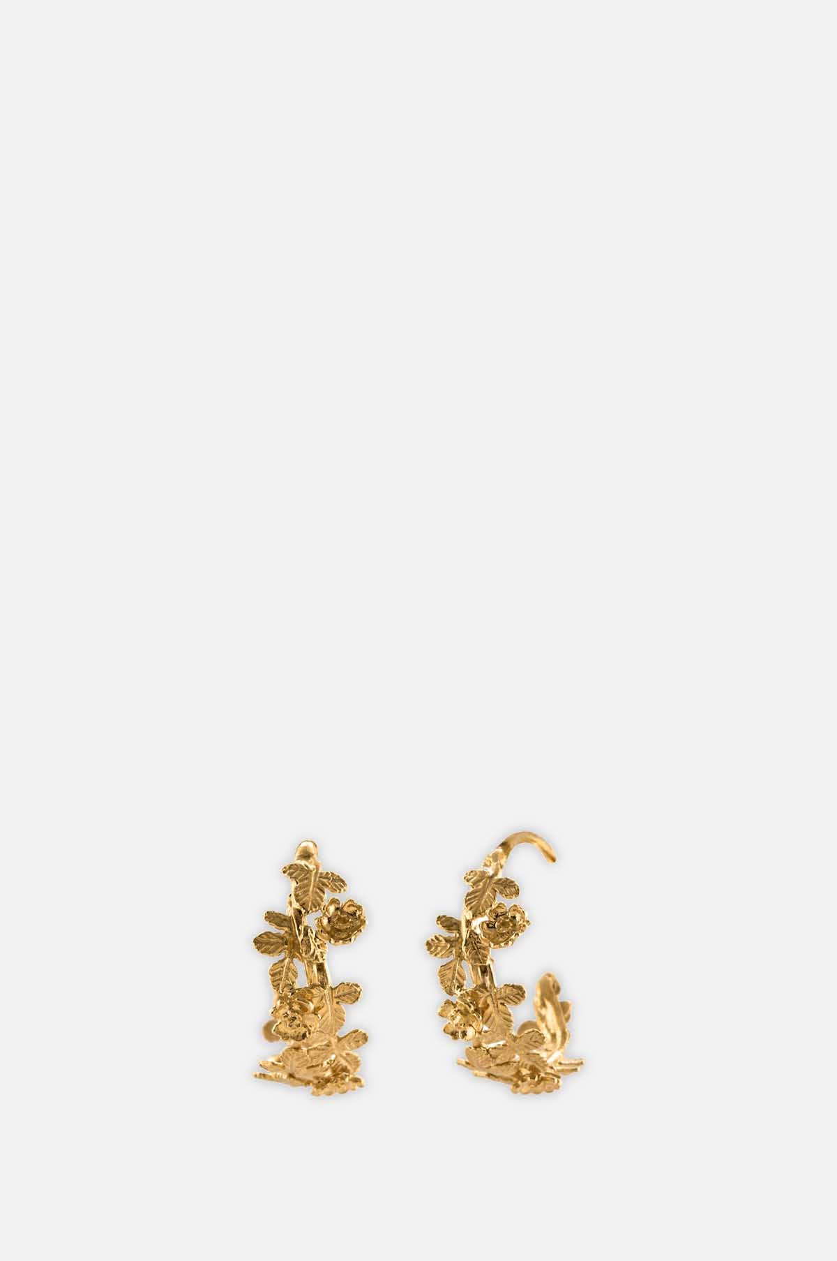 Wildrose Wide Hoop Earrings Gold