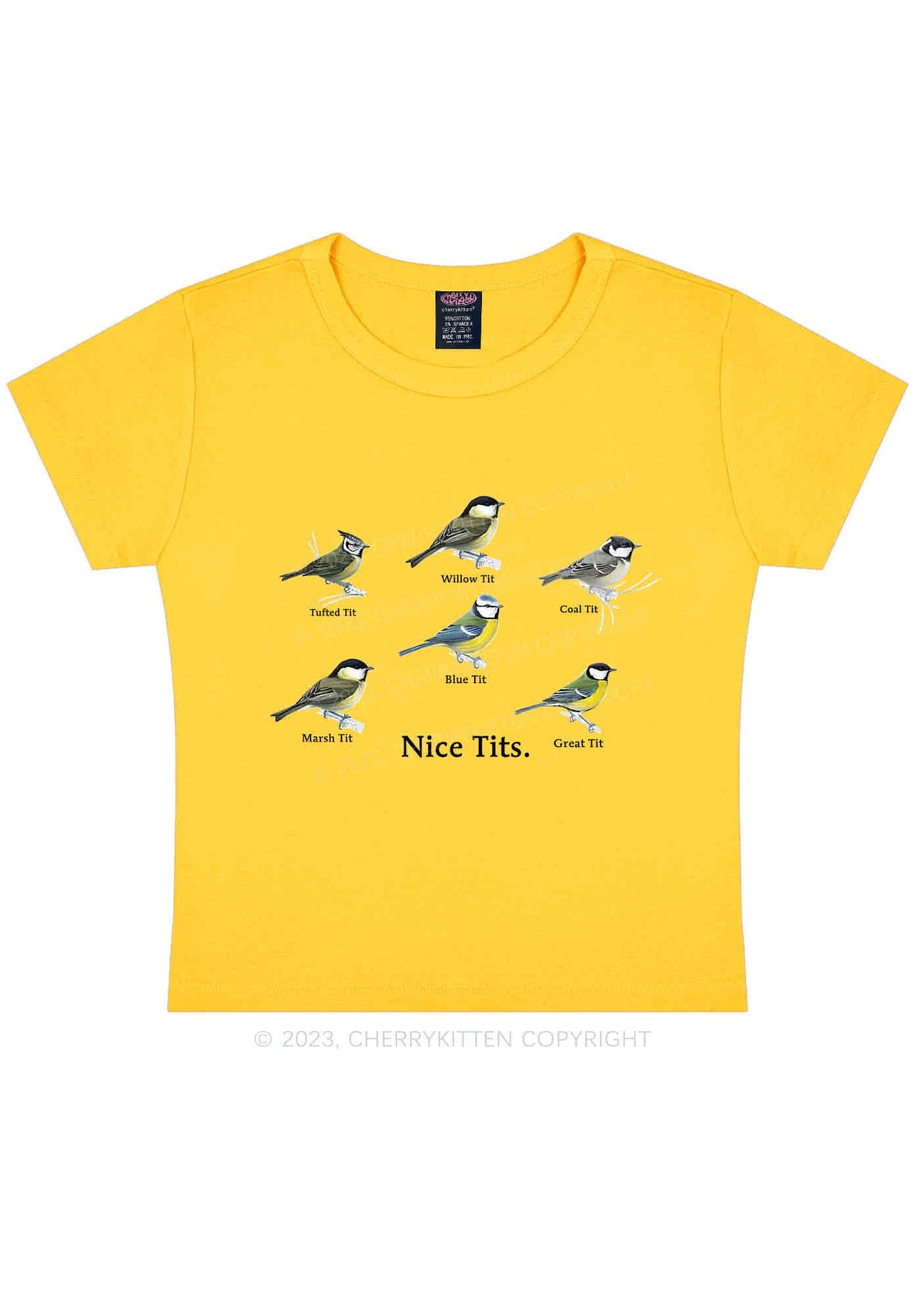 Nice Txts Category Y2K Baby Tee Cherrykitten